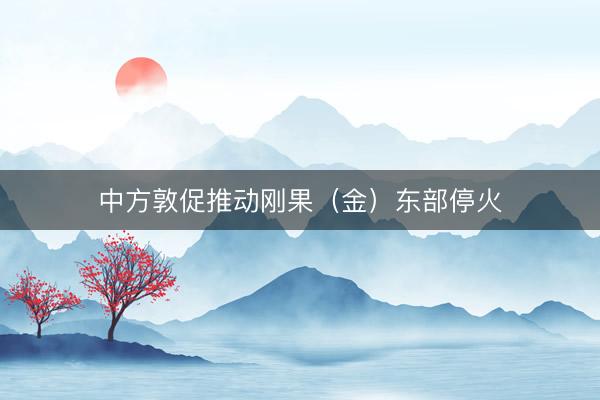 中方敦促推动刚果（金）东部停火