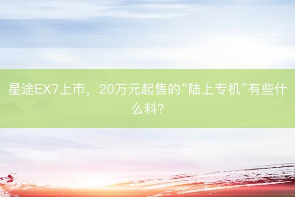 星途EX7上市，20万元起售的“陆上专机”有些什么料？