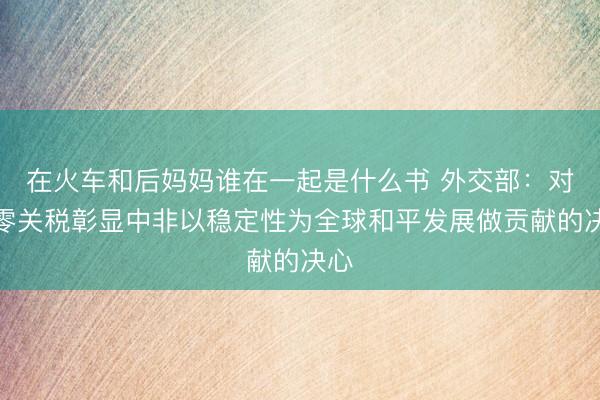 在火车和后妈妈谁在一起是什么书 外交部：对非零关税彰显中非以稳定性为全球和平发展做贡献的决心