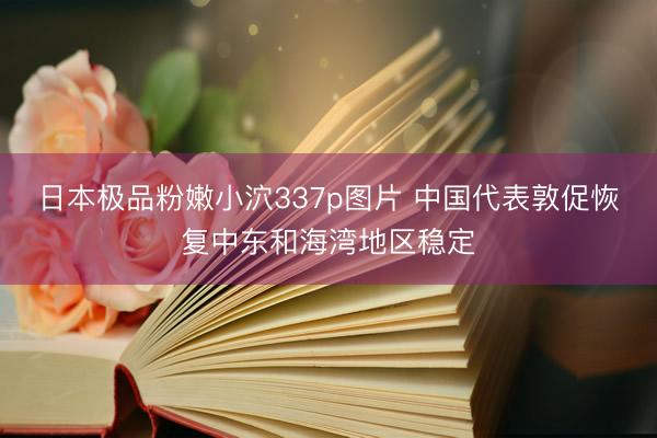 日本极品粉嫩小泬337p图片 中国代表敦促恢复中东和海湾地区稳定