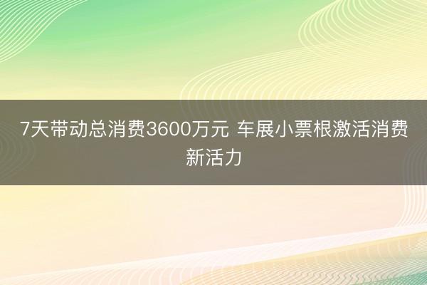 7天带动总消费3600万元 车展小票根激活消费新活力