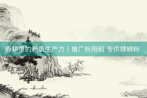 春耕里的新质生产力｜推广粉用稻 专供螺蛳粉 