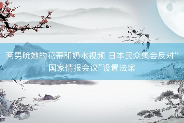 两男吮她的花蒂和奶水视频 日本民众集会反对“国家情报会议”设置法案
