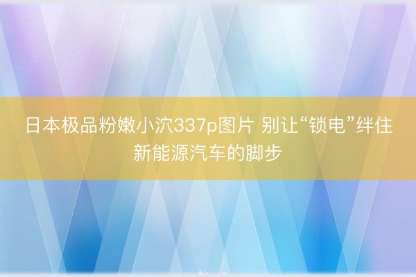 日本极品粉嫩小泬337p图片 别让“锁电”绊住新能源汽车的脚步