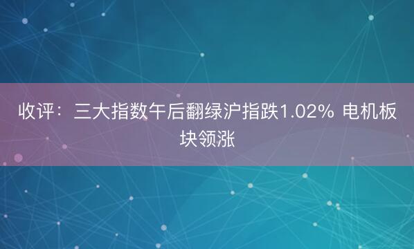 收评：三大指数午后翻绿沪指跌1.02% 电机板块领涨