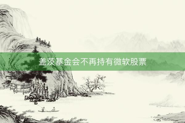 盖茨基金会不再持有微软股票