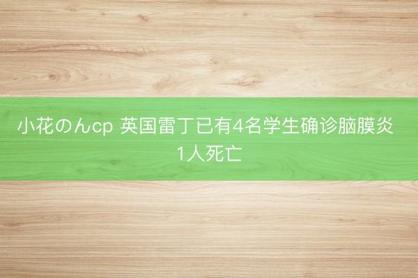小花のんcp 英国雷丁已有4名学生确诊脑膜炎 1人死亡