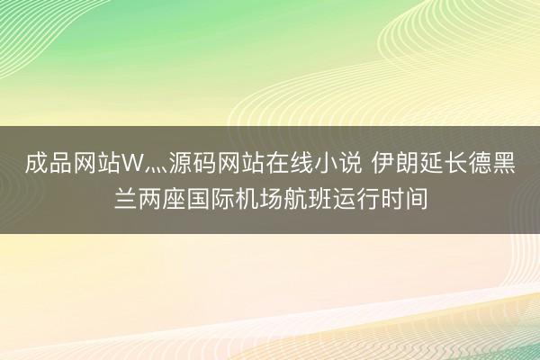 成品网站W灬源码网站在线小说 伊朗延长德黑兰两座国际机场航班运行时间