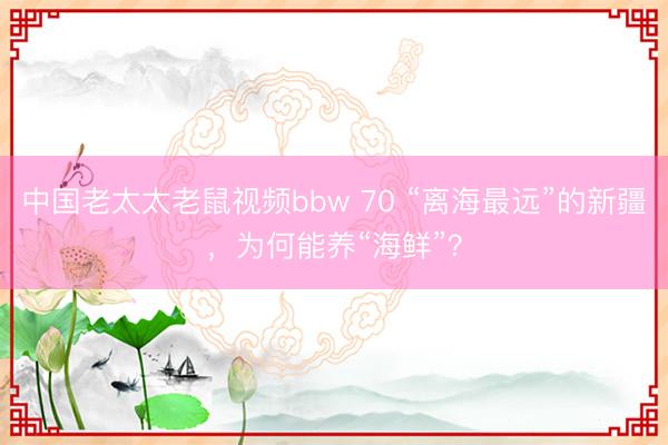 中国老太太老鼠视频bbw 70 “离海最远”的新疆，为何能养“海鲜”？