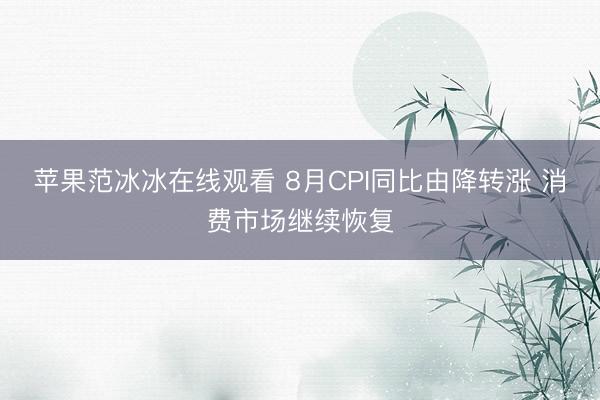 苹果范冰冰在线观看 8月CPI同比由降转涨 消费市场继续恢复