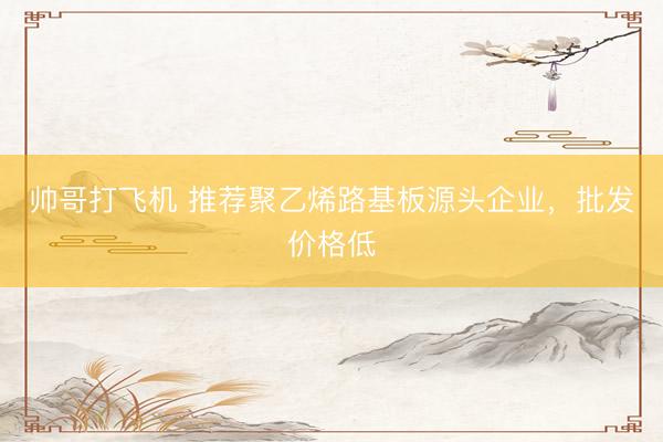 帅哥打飞机 推荐聚乙烯路基板源头企业，批发价格低