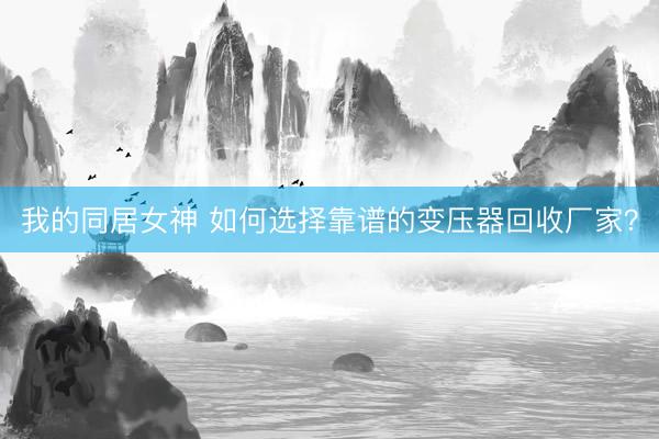 我的同居女神 如何选择靠谱的变压器回收厂家？