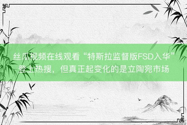 丝瓜视频在线观看 “特斯拉监督版FSD入华”登上热搜，但真正起变化的是立陶宛市场