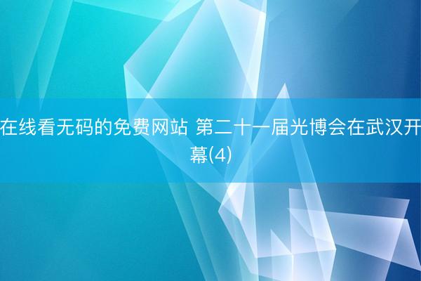 在线看无码的免费网站 第二十一届光博会在武汉开幕(4)