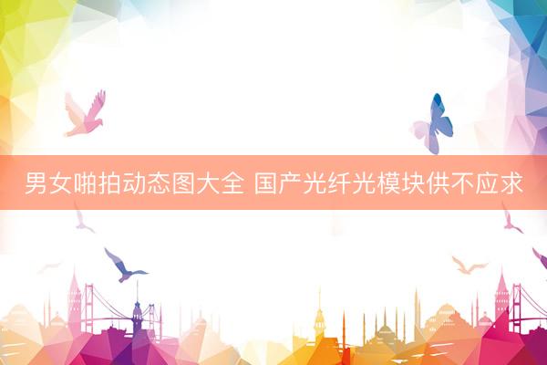男女啪拍动态图大全 国产光纤光模块供不应求