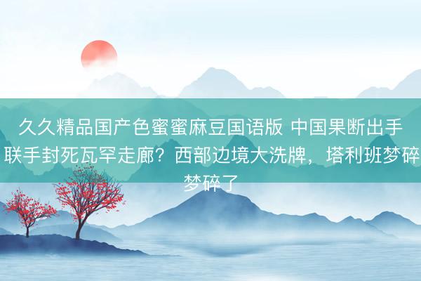 久久精品国产色蜜蜜麻豆国语版 中国果断出手，联手封死瓦罕走廊？西部边境大洗牌，塔利班梦碎了