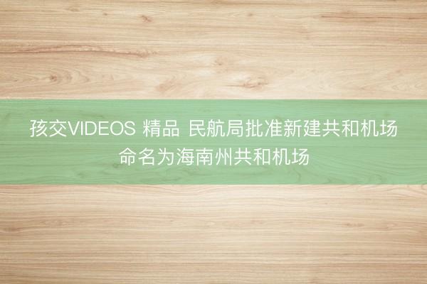 孩交VIDEOS 精品 民航局批准新建共和机场命名为海南州共和机场