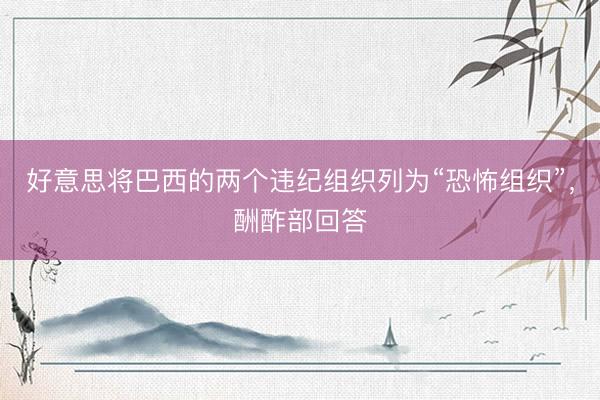 好意思将巴西的两个违纪组织列为“恐怖组织”，酬酢部回答