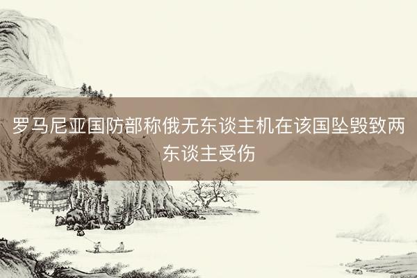 罗马尼亚国防部称俄无东谈主机在该国坠毁致两东谈主受伤