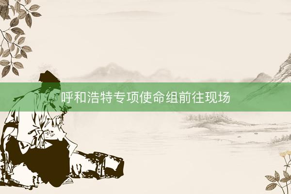 呼和浩特专项使命组前往现场