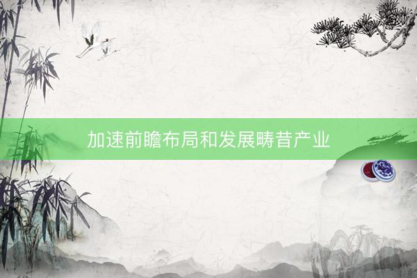 加速前瞻布局和发展畴昔产业