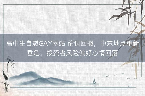 高中生自慰GAY网站 伦铜回撤，中东地点重新垂危，投资者风险偏好心情回落