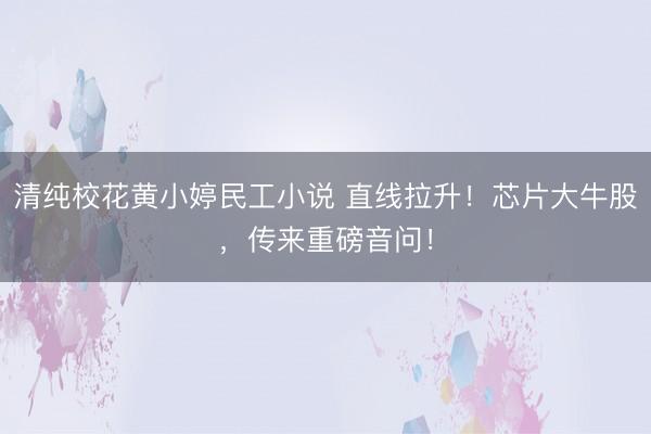 清纯校花黄小婷民工小说 直线拉升！芯片大牛股，传来重磅音问！
