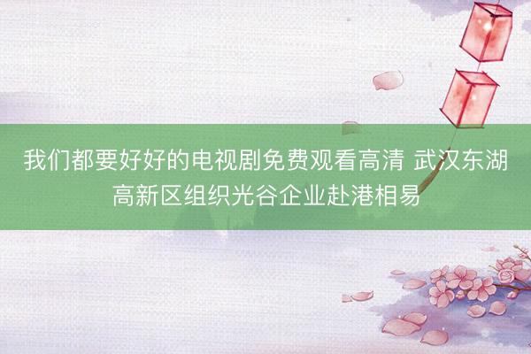 我们都要好好的电视剧免费观看高清 武汉东湖高新区组织光谷企业赴港相易
