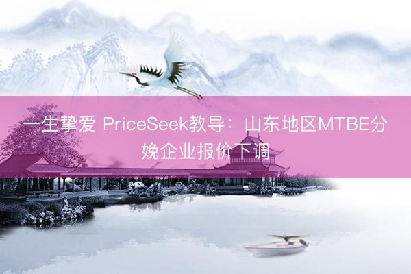 一生挚爱 PriceSeek教导：山东地区MTBE分娩企业报价下调