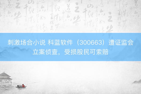 刺激场合小说 科蓝软件（300663）遭证监会立案侦查，受损股民可索赔