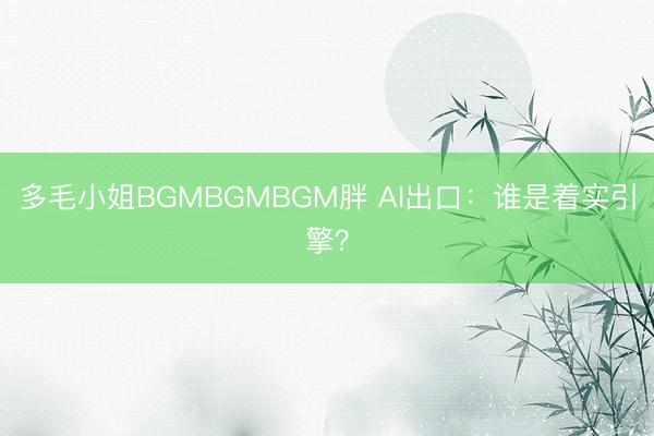 多毛小姐BGMBGMBGM胖 AI出口：谁是着实引擎？