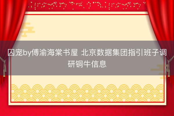 囚宠by傅渝海棠书屋 北京数据集团指引班子调研铜牛信息