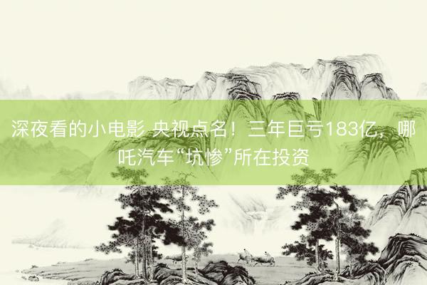 深夜看的小电影 央视点名！三年巨亏183亿，哪吒汽车“坑惨”所在投资