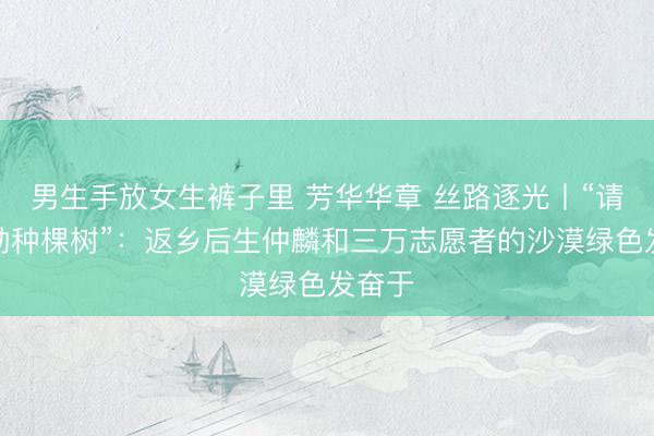 男生手放女生裤子里 芳华华章 丝路逐光丨“请到民勤种棵树”:返乡后生仲麟和三万志愿者的沙漠绿色发奋于