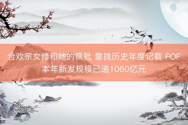 合欢宗女修和她的疯批 靠拢历史年度记载 FOF本年新发规模已逾1060亿元