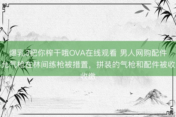 爆乳3把你榨干哦OVA在线观看 男人网购配件平允气枪在林间练枪被措置，拼装的气枪和配件被收缴