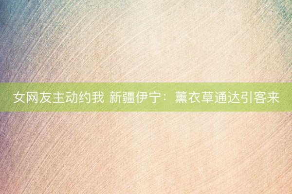 女网友主动约我 新疆伊宁：薰衣草通达引客来