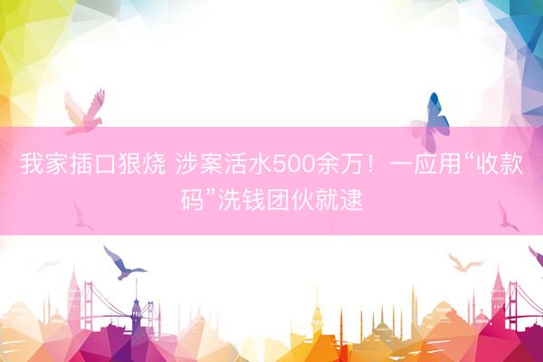 我家插口狠烧 涉案活水500余万!一应用“收款码”洗钱团伙就逮