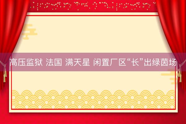 高压监狱 法国 满天星 闲置厂区“长”出绿茵场