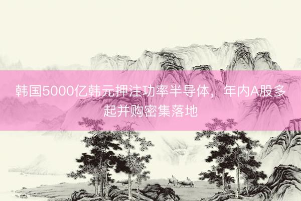 韩国5000亿韩元押注功率半导体，年内A股多起并购密集落地