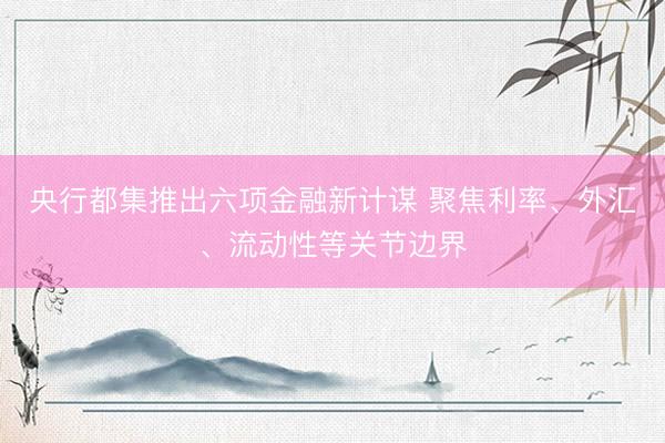 央行都集推出六项金融新计谋 聚焦利率、外汇、流动性等关节边界