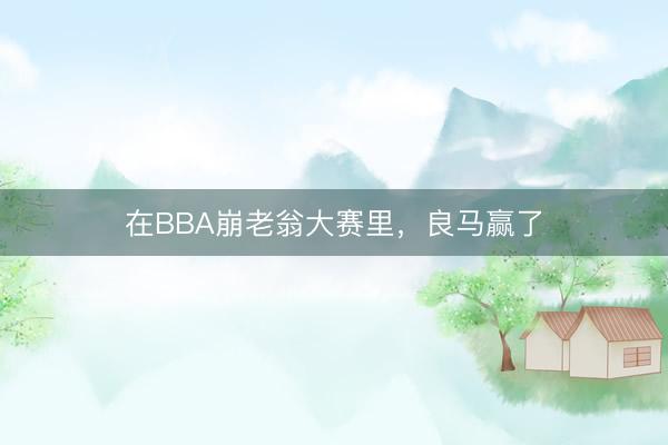 在BBA崩老翁大赛里,良马赢了