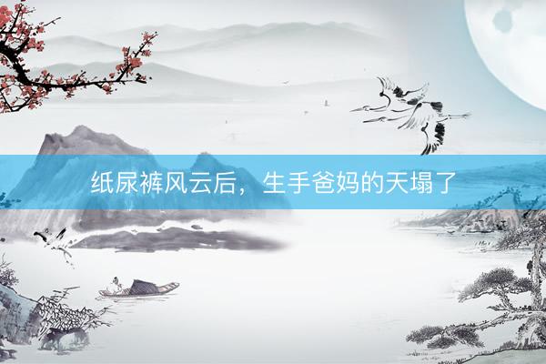 纸尿裤风云后，生手爸妈的天塌了